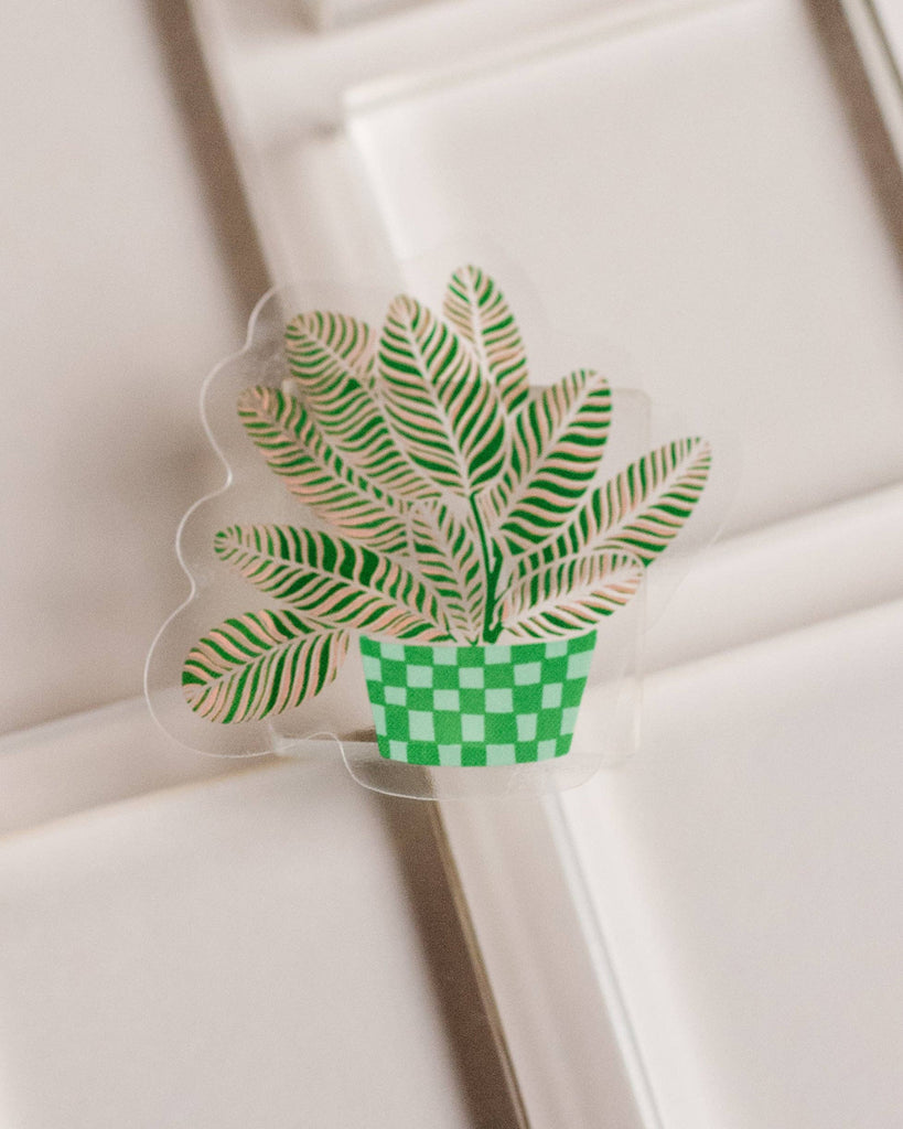 Calathea Houseplant Transparent Sticker