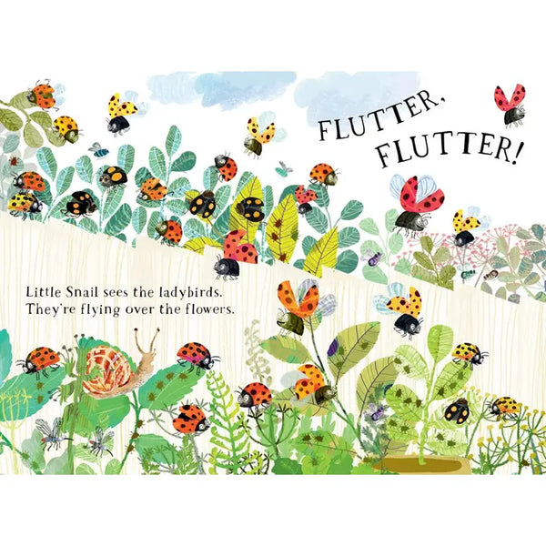 Little Snail's Book of Bugs