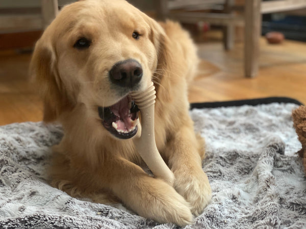 Beef Soft Dog Chew - Large
