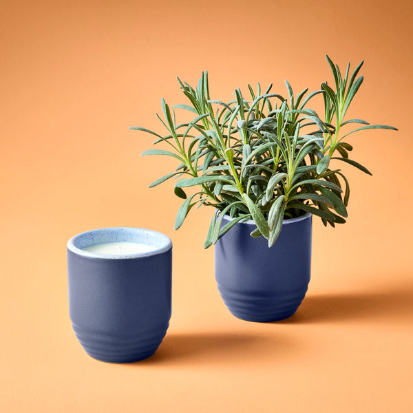 Garden Vibes Candle / Planter - Violet Hour