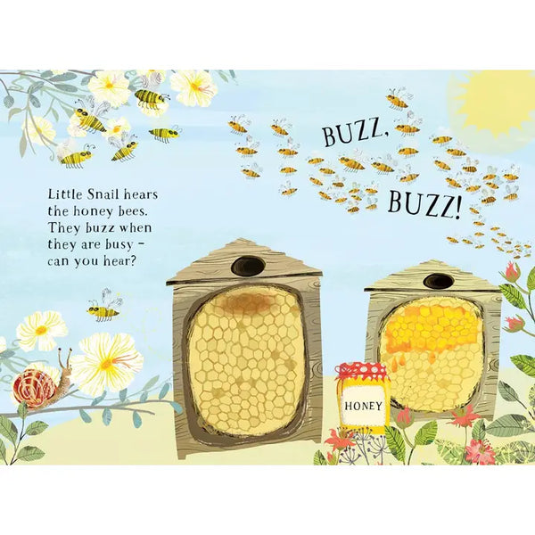 Little Snail's Book of Bugs