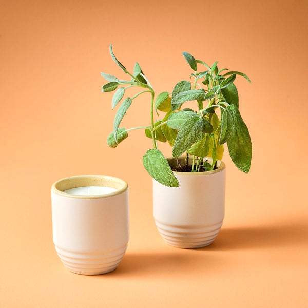 Garden Vibes Candle / Planter - Golden Moments