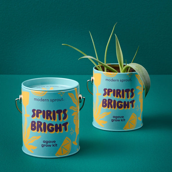 Spirits Bright - Agave Grow Kit