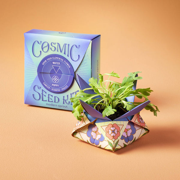 Cosmic Seed Kit - Fire - Amaranthus