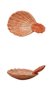 Stoneware Shell Dish with Shell Handle - #3