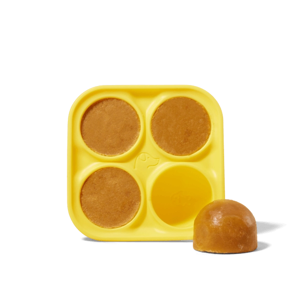 Pupsicle Treat Tray - Large