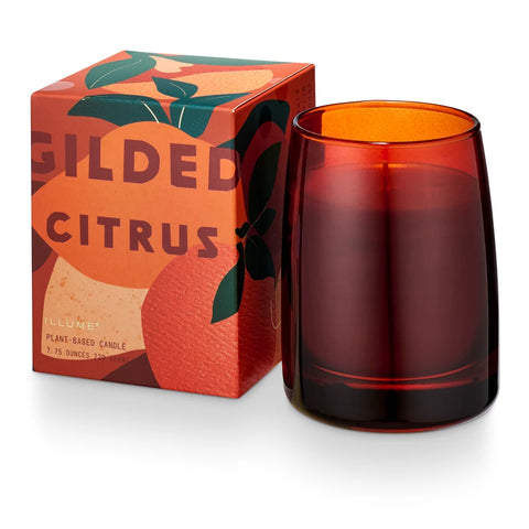 Boxed Glass Candle  - Gilded Citrus