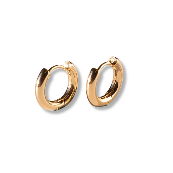 Gilded Earrings - Hoop Huggies
