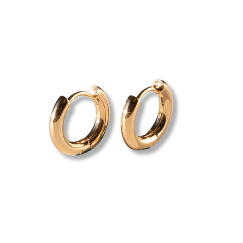 Gilded Earrings - Hoop Huggies
