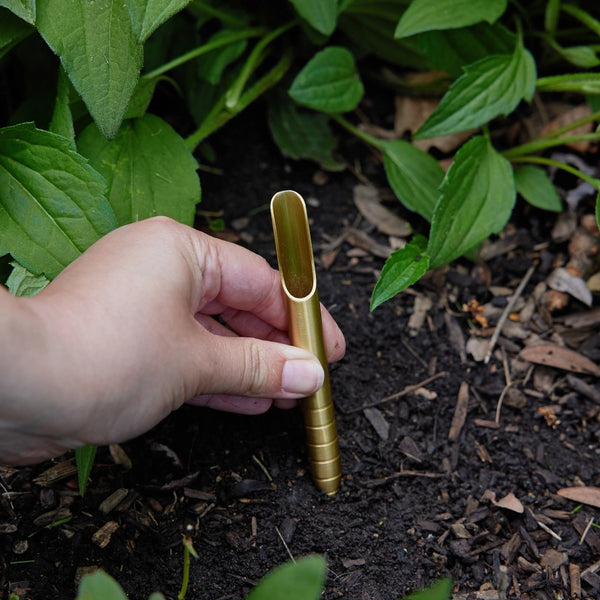 Seed Library - Heirloom Vegetables