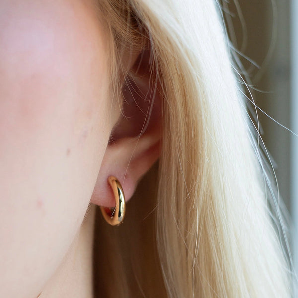Gilded Earrings - Hoop Huggies