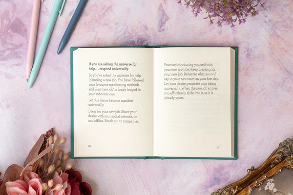The Little Book of Manifesting