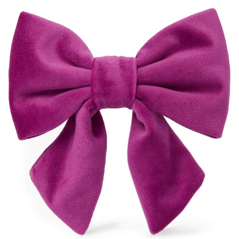 Velvet Lady Dog Bow Tie - Plum