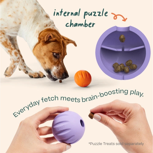 Flyball Single - Lavender