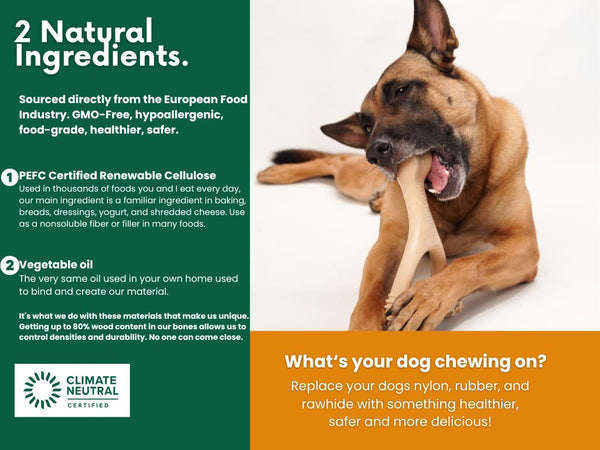 Unflavored Hard Dog Chew - Large
