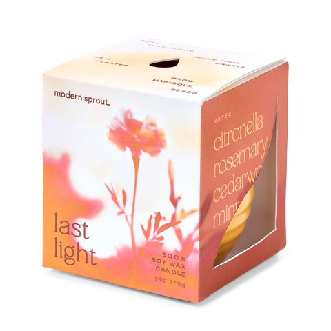 Garden Vibes Candle / Planter - Last Light + Cintronella