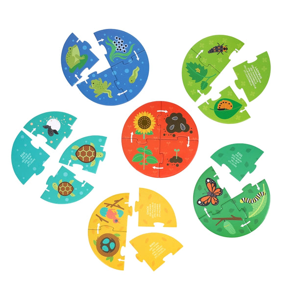 Discovery Puzzle - Life Cycle