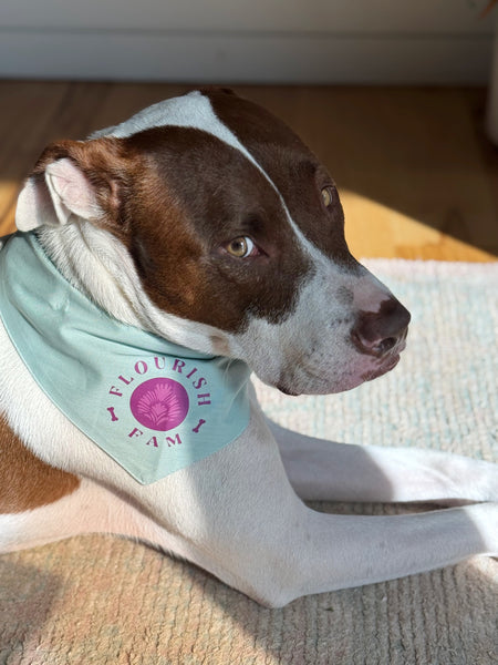 Flourish Fam Dog Bandana