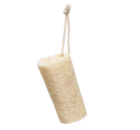 Loofa Dish Brush