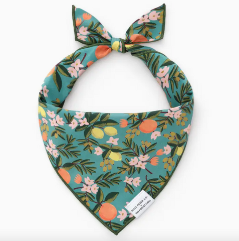 Rifle Paper Co. X Citrus Floral Dog Bandana