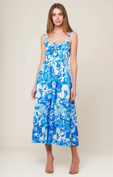Skye Dress -- Blue
