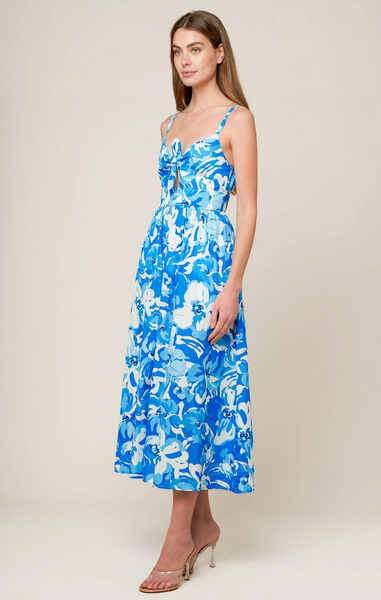 Skye Dress -- Blue