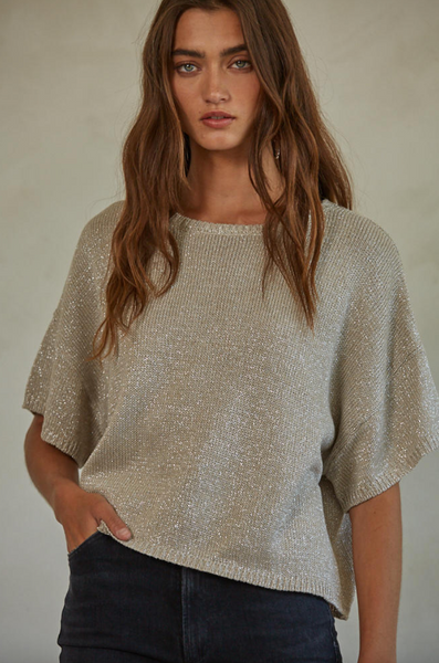 Isadora Top -- Grey Silver