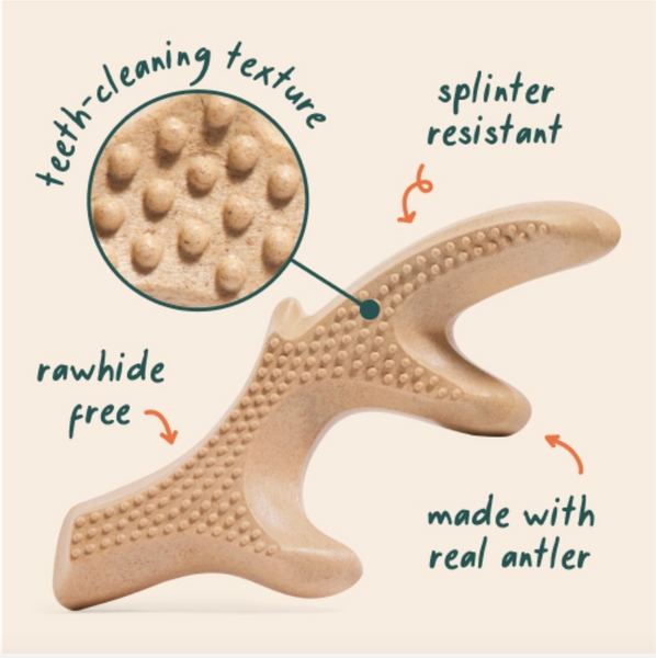 Medium Antler Honestchew