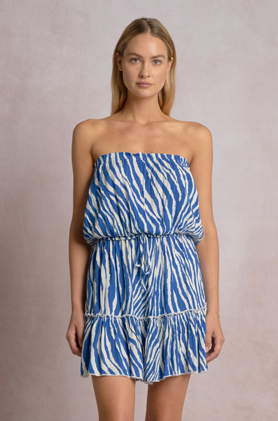 Cora Dress -- Blue