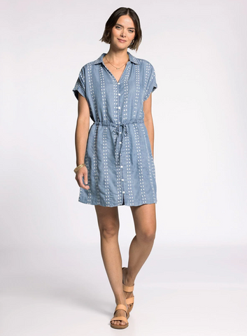 Natalia Dress -- Daisy Stripe