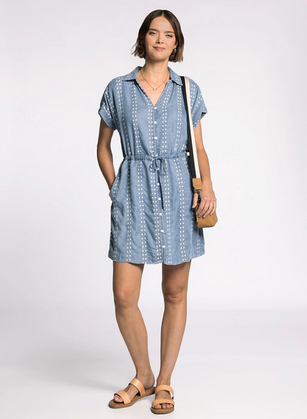 Natalia Dress -- Daisy Stripe