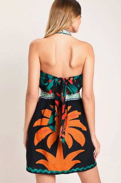 Columbia Dress