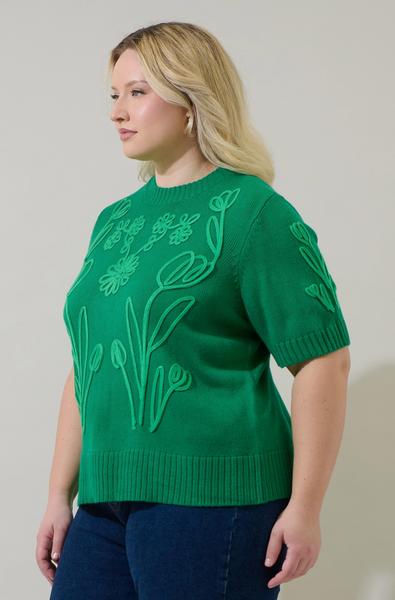 Winsley Top -- Green