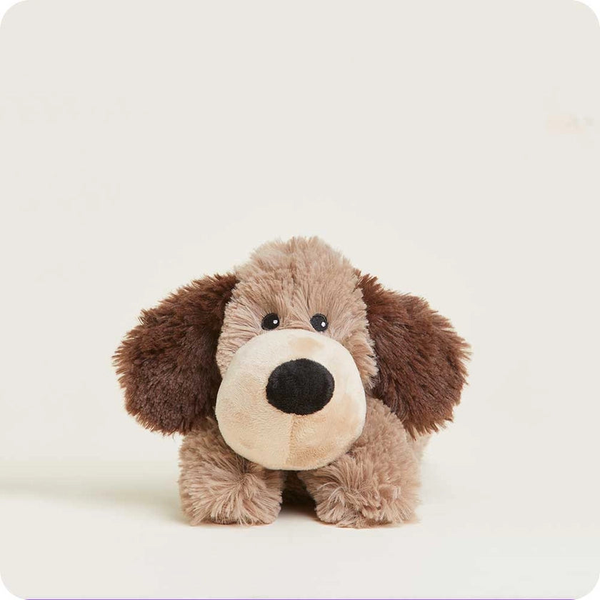 Brown Dog Warmies Junior