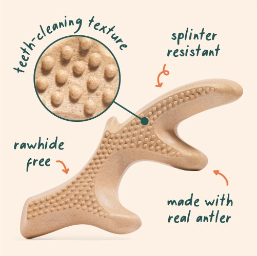 Small Antler Honestchew