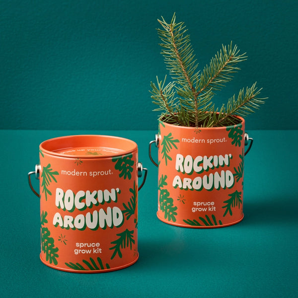 Rockin' Around - Spruce Grow Kit