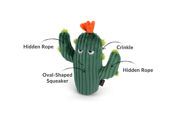 Prickly Pup Cactus Dog Toy