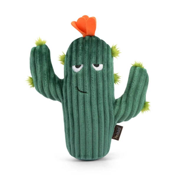 Prickly Pup Cactus Dog Toy