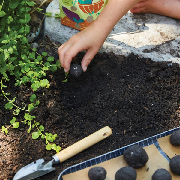 DIY Seed Ball Kit - Wild Habitat