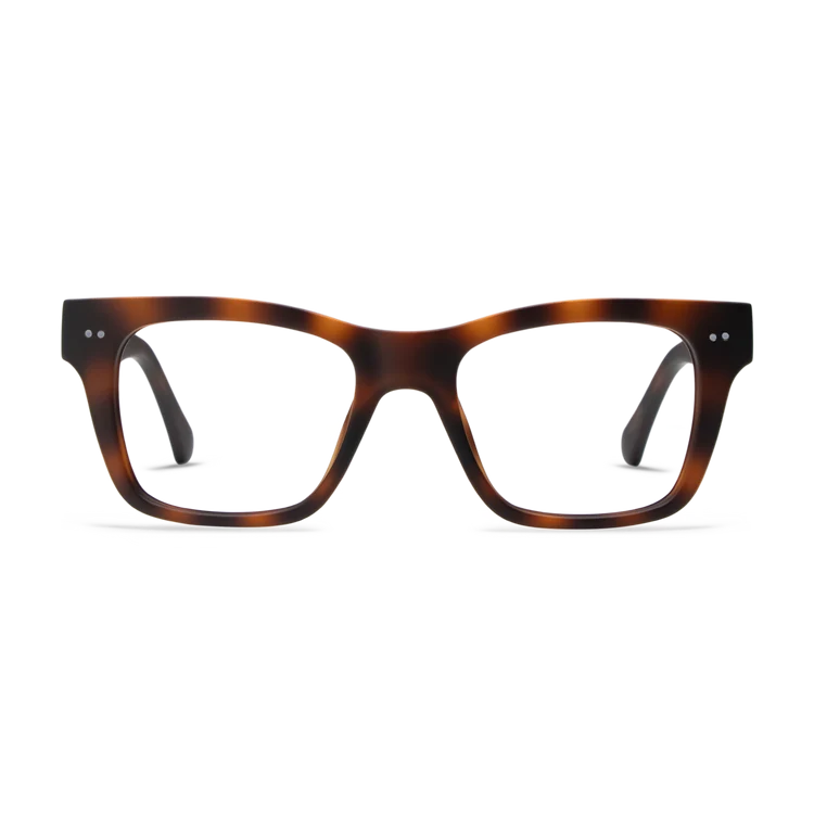Cosmo Readers - Tortoise
