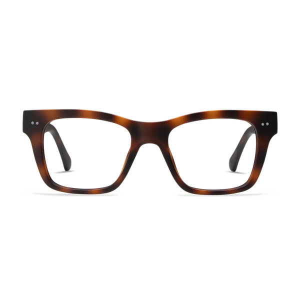 Cosmo Readers - Tortoise
