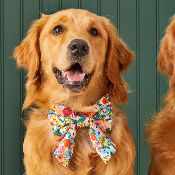 Large Rifle Paper Co. x TFD Lady Dog Bow - Garden Party