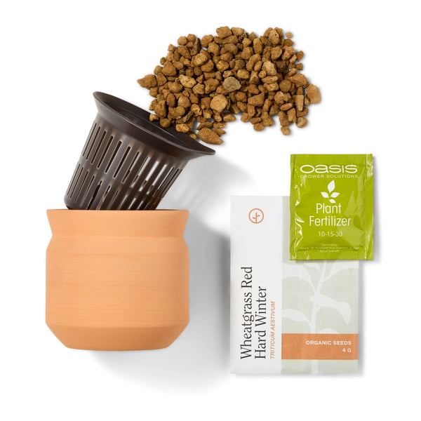 Tiny Terracotta Pet Grow Kits - Curious Catnip