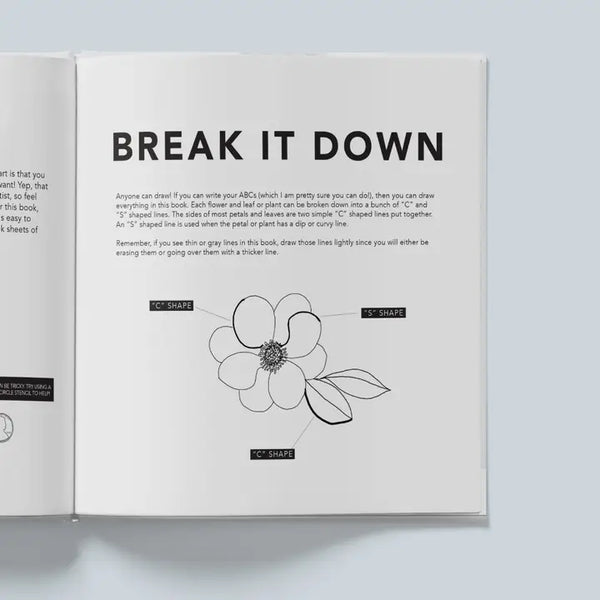 How to Draw Modern Flowers For Kids