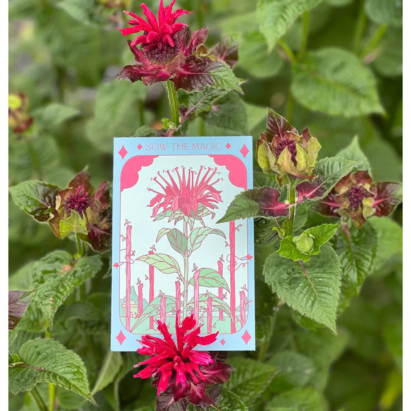 Bee Balm Tarot Garden + Gift Seed Packet
