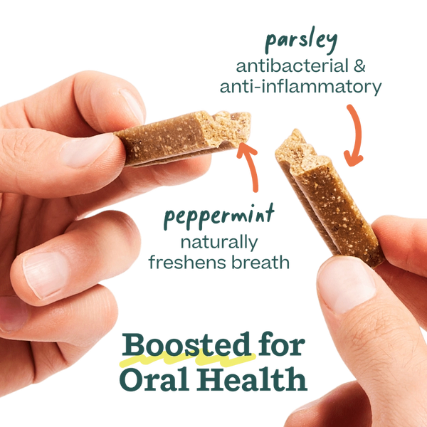 Bite N' Brush Dental Refills - Chicken