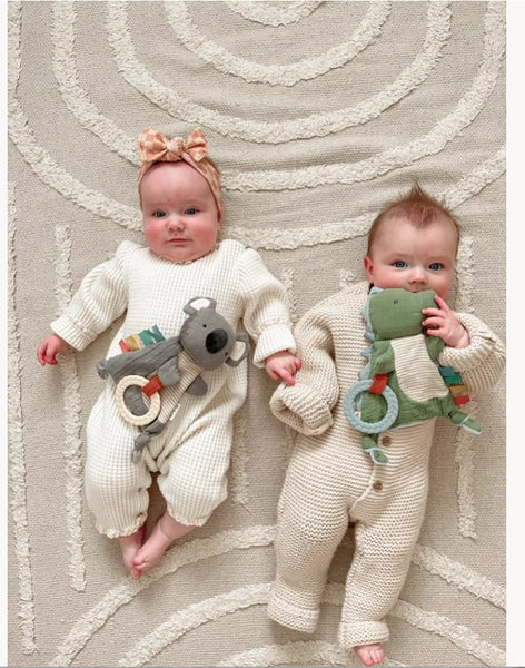 Bitzy Crinkle Dino Teether
