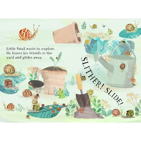 Little Snail's Book of Bugs
