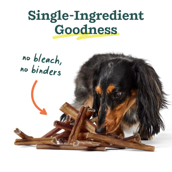 Bullysafe Chews - Pure Collagen