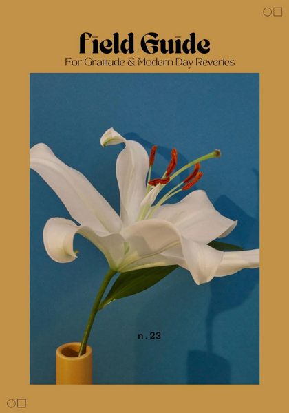 Field Guide: For Gratitude & Modern Day Reveries
